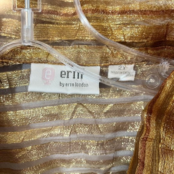 Vintage Gold Metallic Striped Sheer Button Down Shirt Mother of Pearl - Size 2X - Picture 5 of 6